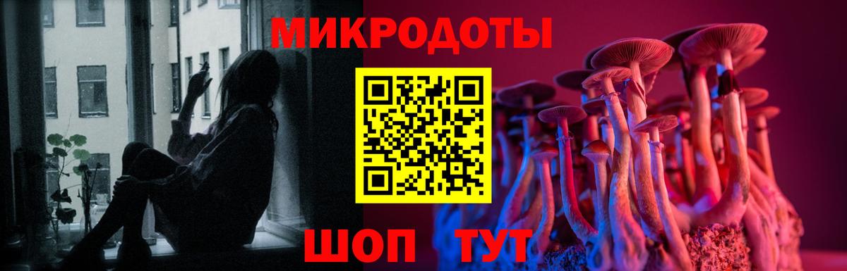 Галлюциногенные грибы Торжок